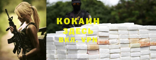 прущие крисы Верея